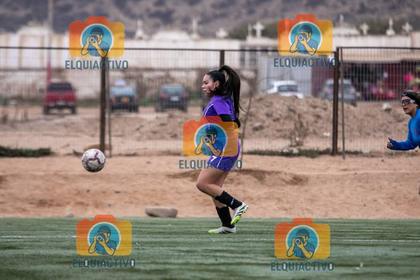 Fútbol femenino